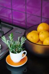 Kitchen Styling Kitchen Styling